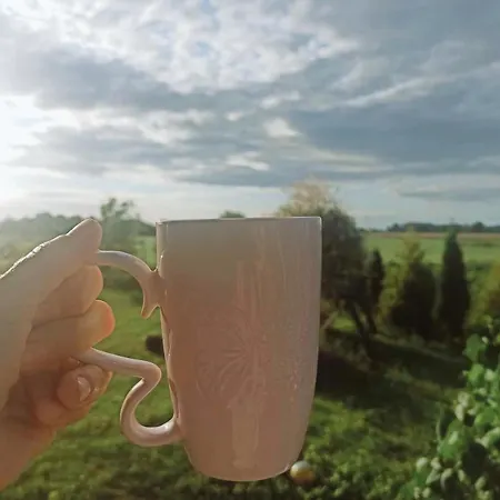 Zulawska Osada Сasa de vacaciones Trutnowy